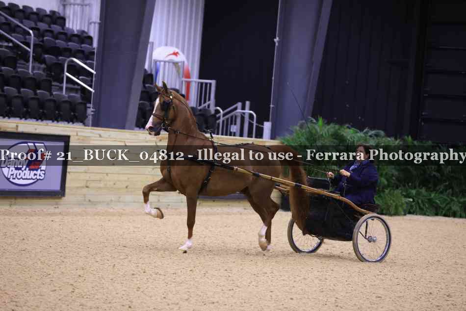 Proof 21_BUCK_04812