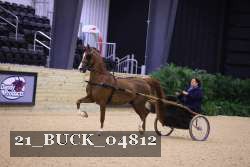 21_BUCK_04812 proof