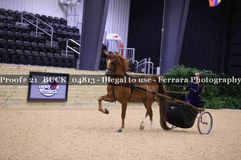 Proof 21_BUCK_04813