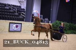 21_BUCK_04813 proof