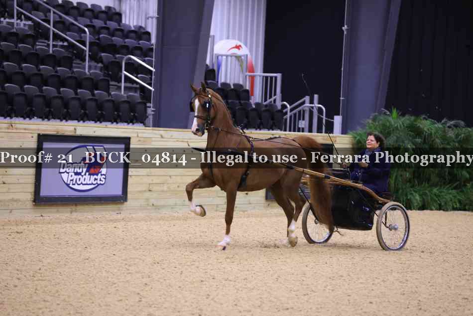 Proof 21_BUCK_04814