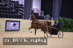 21_BUCK_04814 proof
