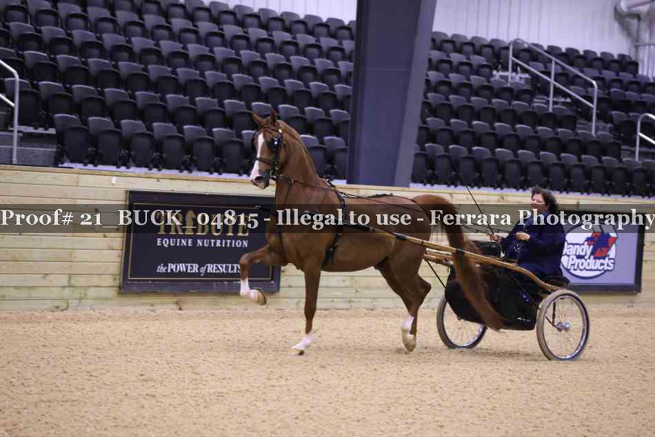 Proof 21_BUCK_04815