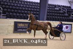 21_BUCK_04815 proof