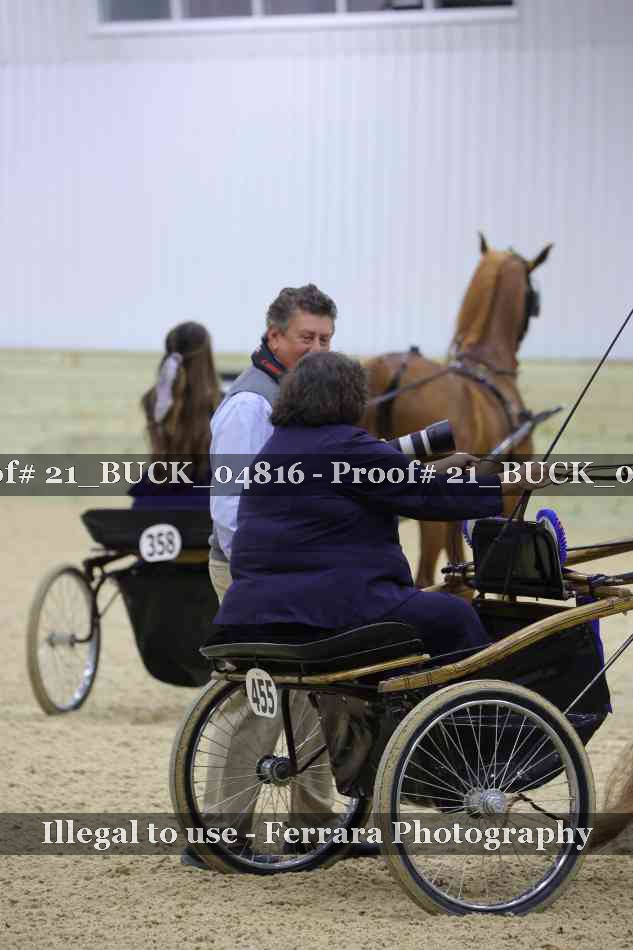Proof 21_BUCK_04816