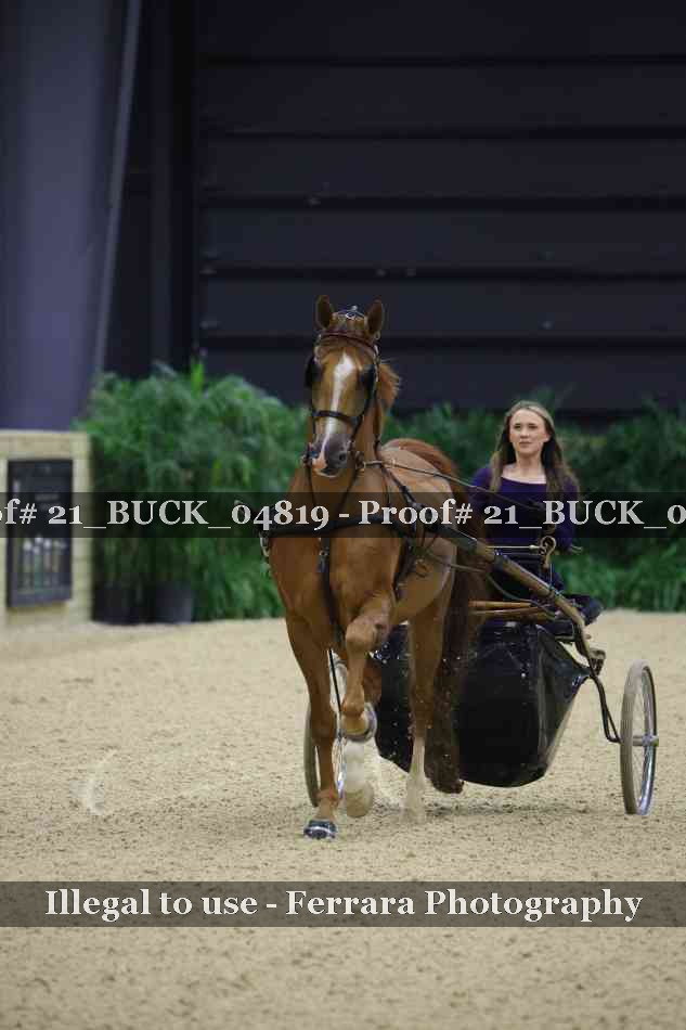 Proof 21_BUCK_04819