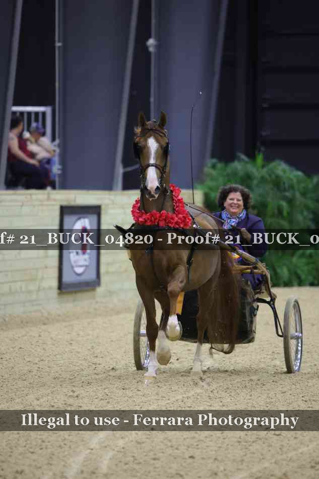 Proof 21_BUCK_04820