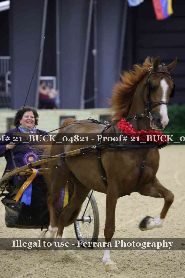 Proof 21_BUCK_04821