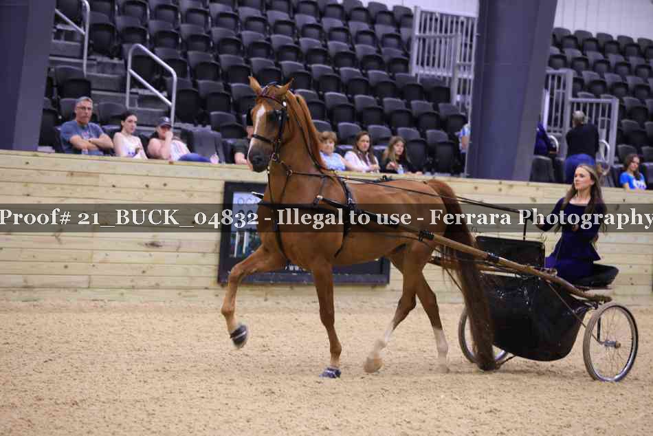 Proof 21_BUCK_04832