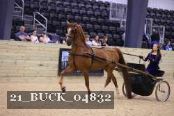 21_BUCK_04832 proof