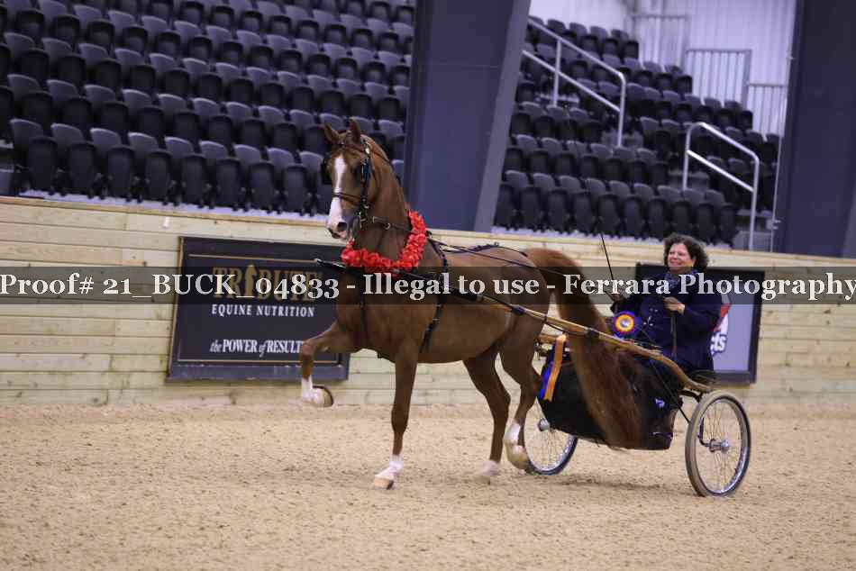 Proof 21_BUCK_04833
