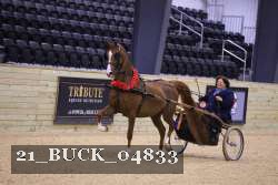 21_BUCK_04833 proof