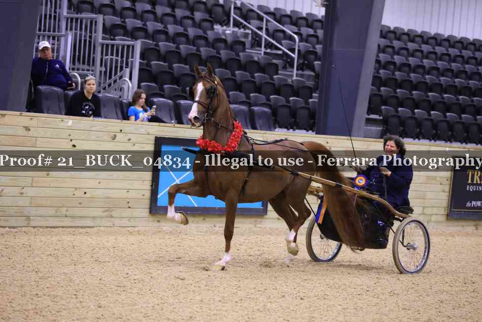 Proof 21_BUCK_04834