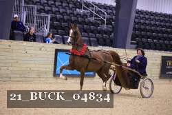 21_BUCK_04834 proof