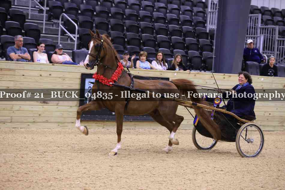 Proof 21_BUCK_04835