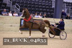 21_BUCK_04835 proof