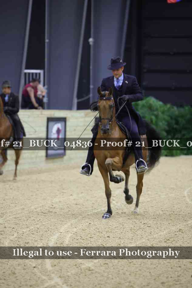 Proof 21_BUCK_04836