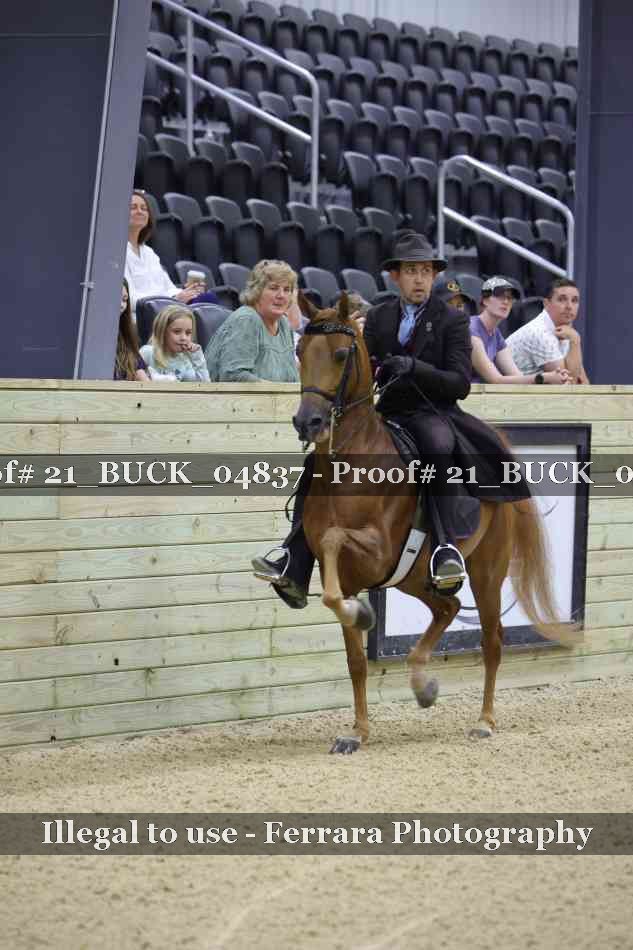 Proof 21_BUCK_04837