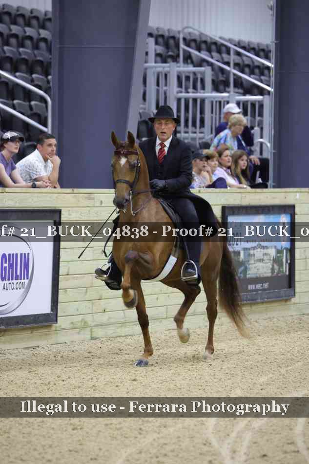 Proof 21_BUCK_04838