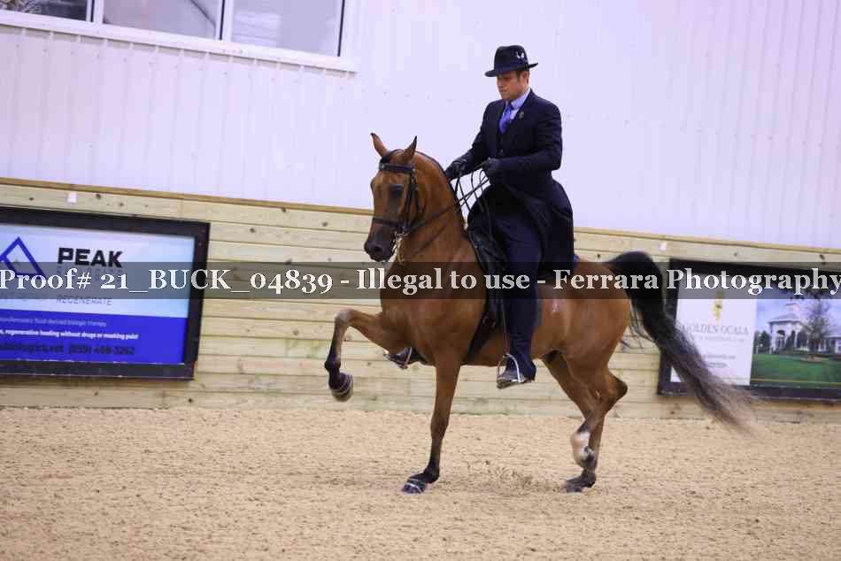 Proof 21_BUCK_04839