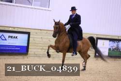 21_BUCK_04839 proof