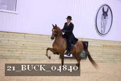 21_BUCK_04840 proof