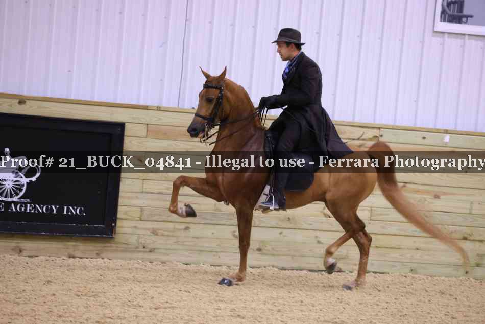 Proof 21_BUCK_04841