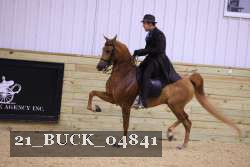 21_BUCK_04841 proof