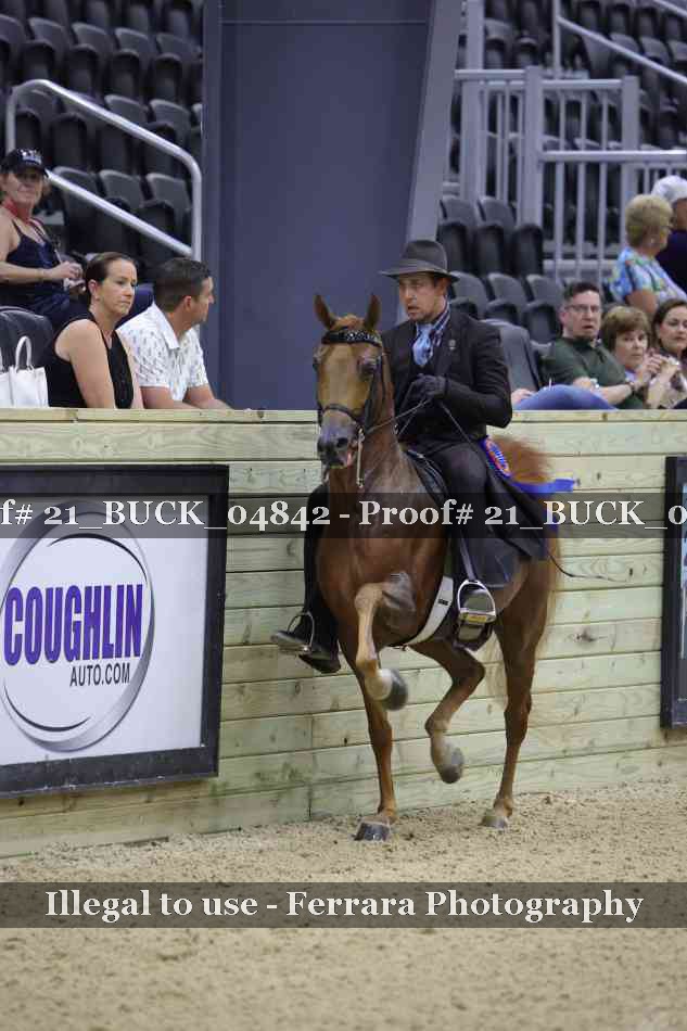 Proof 21_BUCK_04842