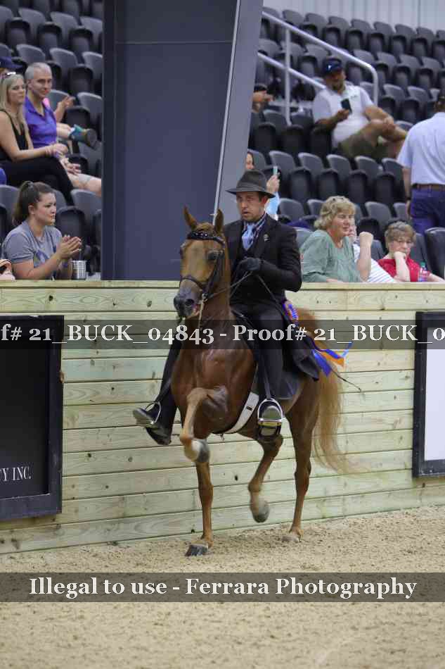 Proof 21_BUCK_04843