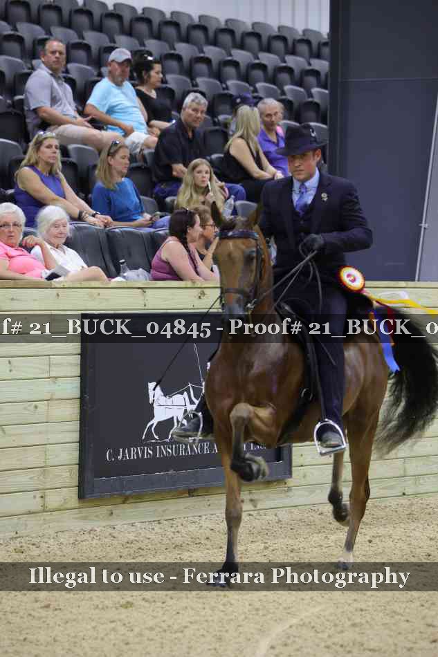 Proof 21_BUCK_04845