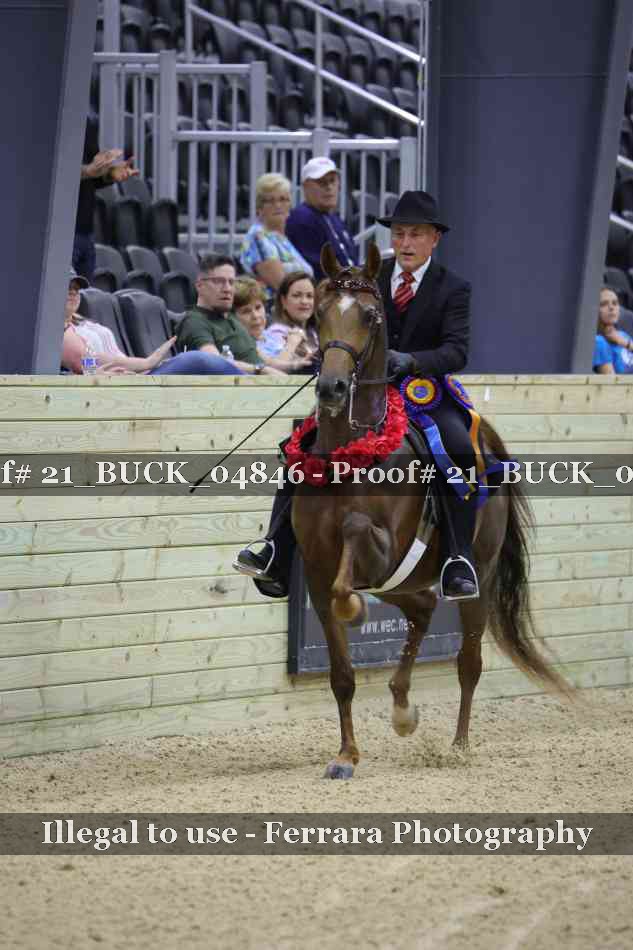 Proof 21_BUCK_04846