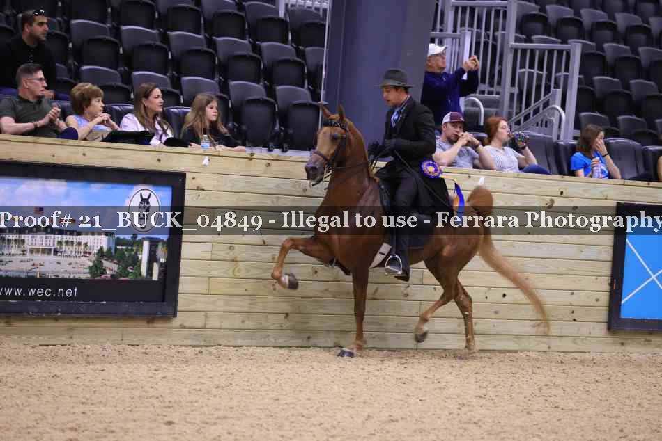 Proof 21_BUCK_04849
