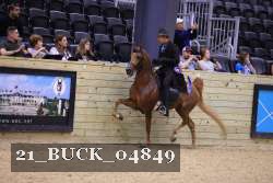 21_BUCK_04849 proof
