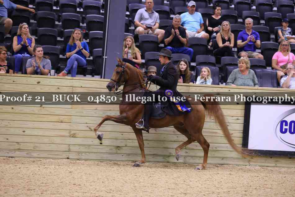 Proof 21_BUCK_04850