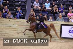 21_BUCK_04850 proof