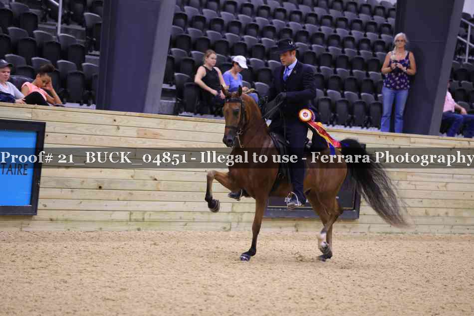 Proof 21_BUCK_04851