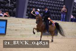 21_BUCK_04851 proof