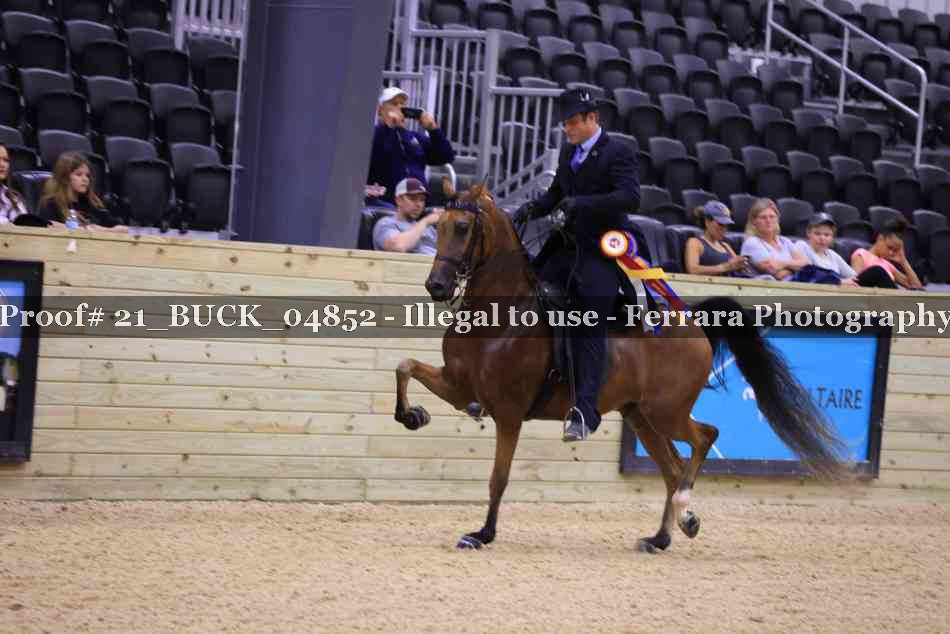 Proof 21_BUCK_04852