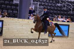 21_BUCK_04852 proof