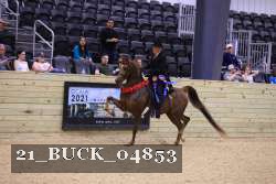 21_BUCK_04853 proof
