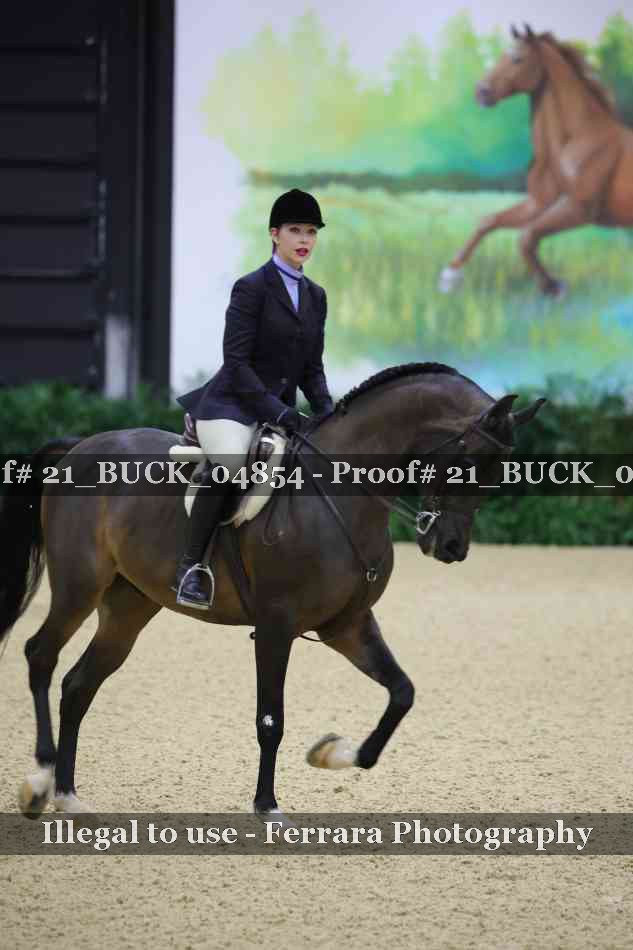 Proof 21_BUCK_04854