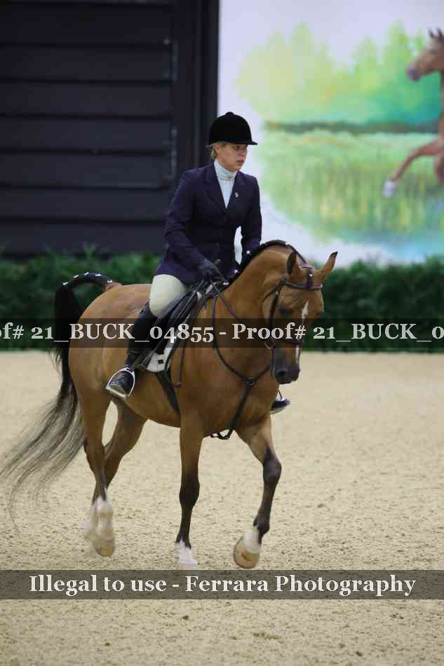 Proof 21_BUCK_04855