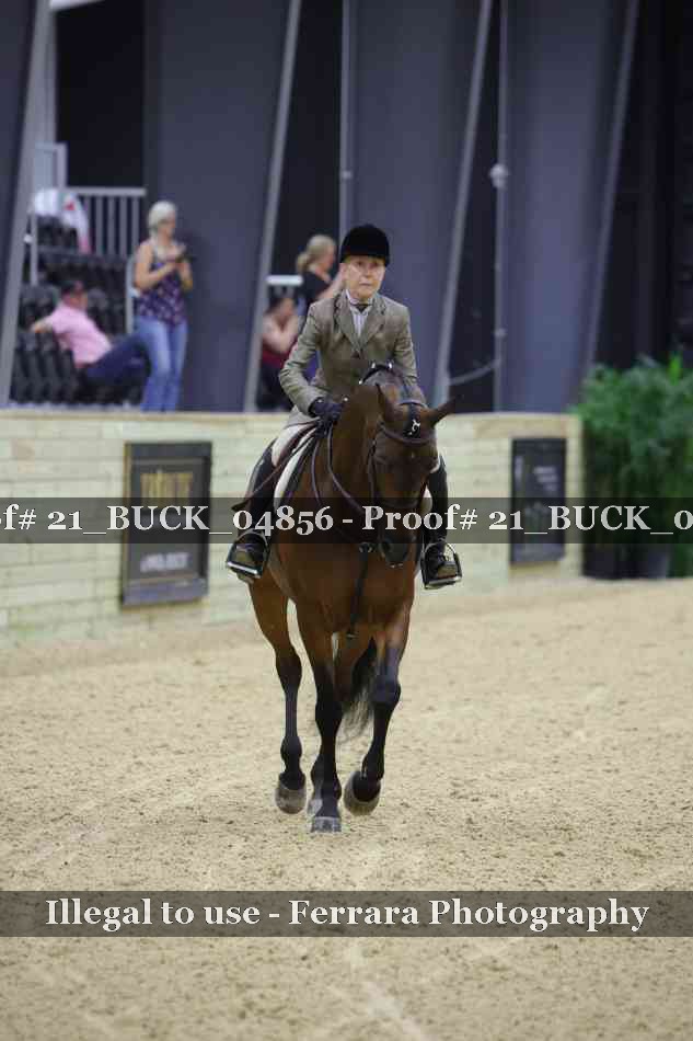 Proof 21_BUCK_04856