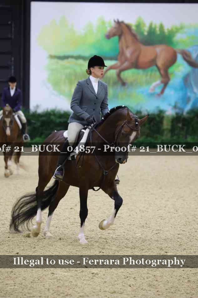 Proof 21_BUCK_04857