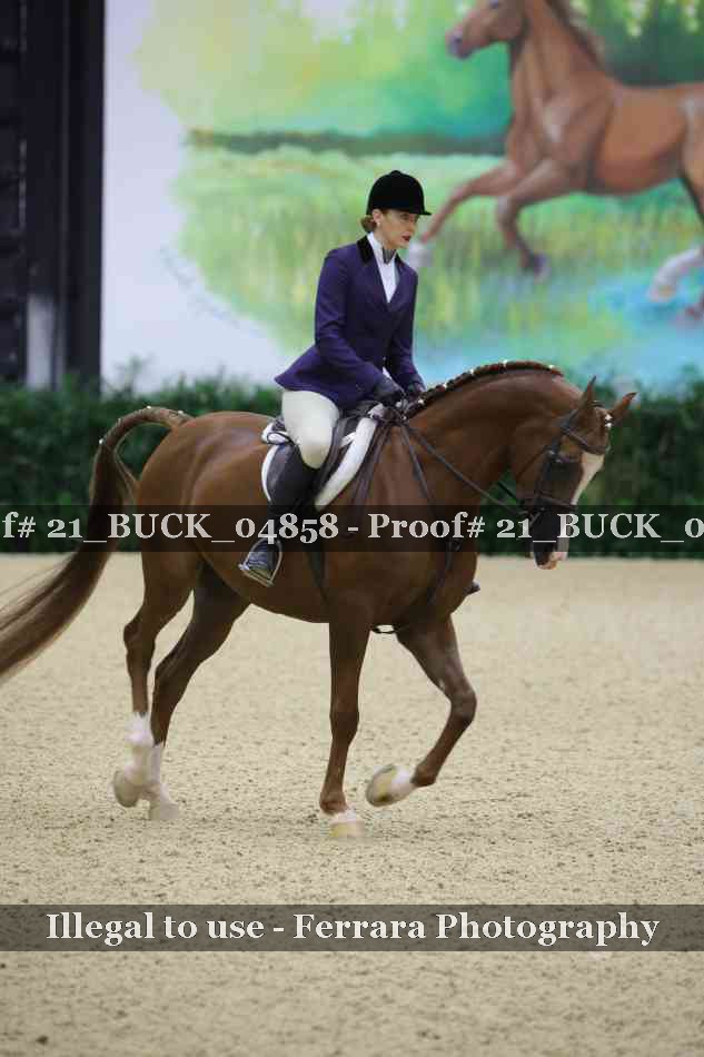 Proof 21_BUCK_04858