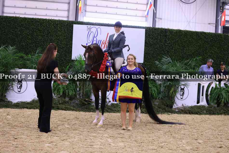 Proof 21_BUCK_04887