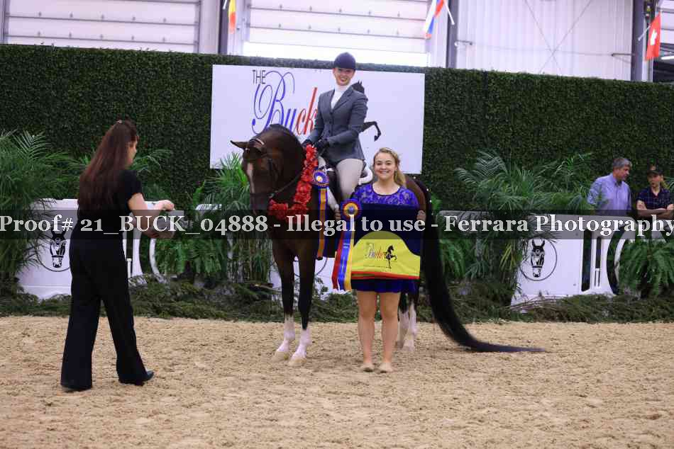 Proof 21_BUCK_04888