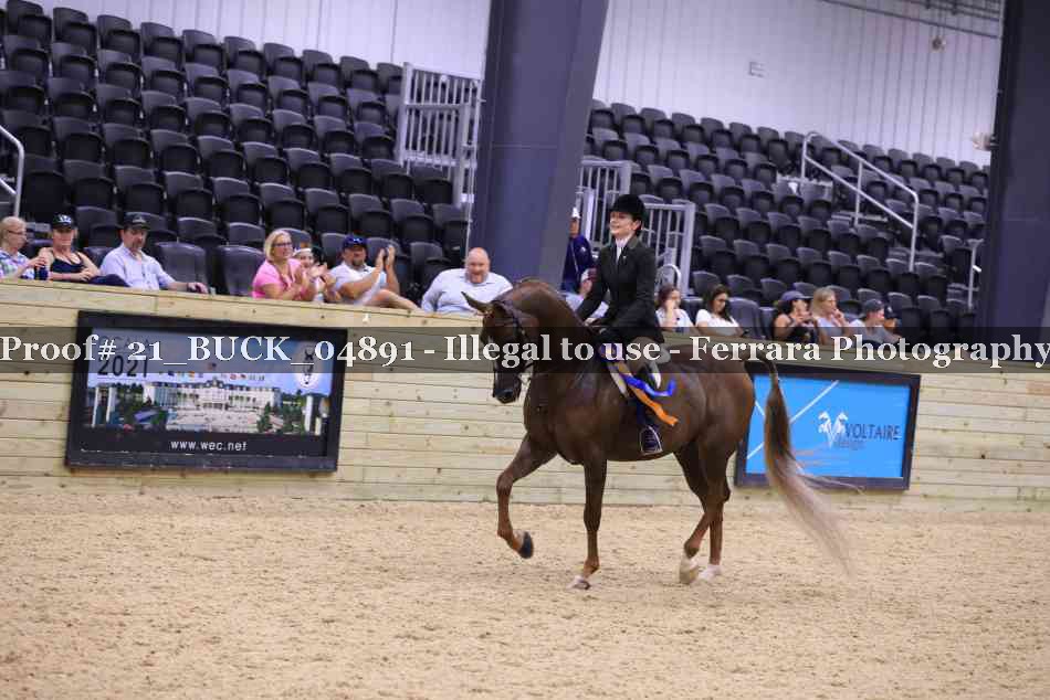 Proof 21_BUCK_04891