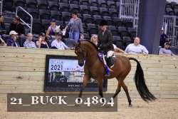 21_BUCK_04894 proof